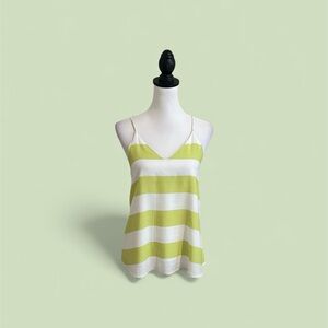 Style Rack Striped Green and White Women's V-neck Top